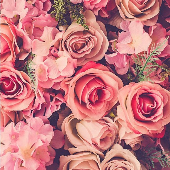 Meet your Posher, Antigona - Picture 1 of 1